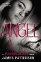 [Maximum Ride 07] • Angel